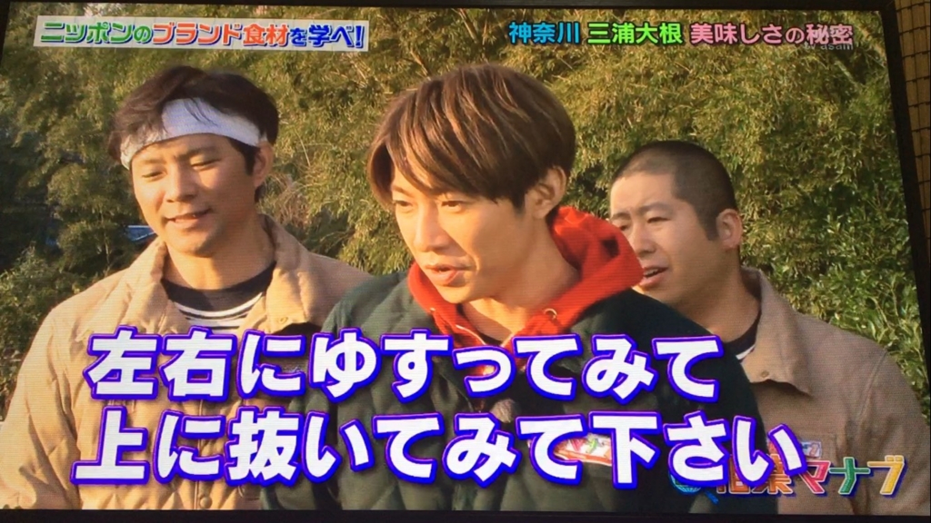 f:id:japanese-standard0:20170115184313j:plain