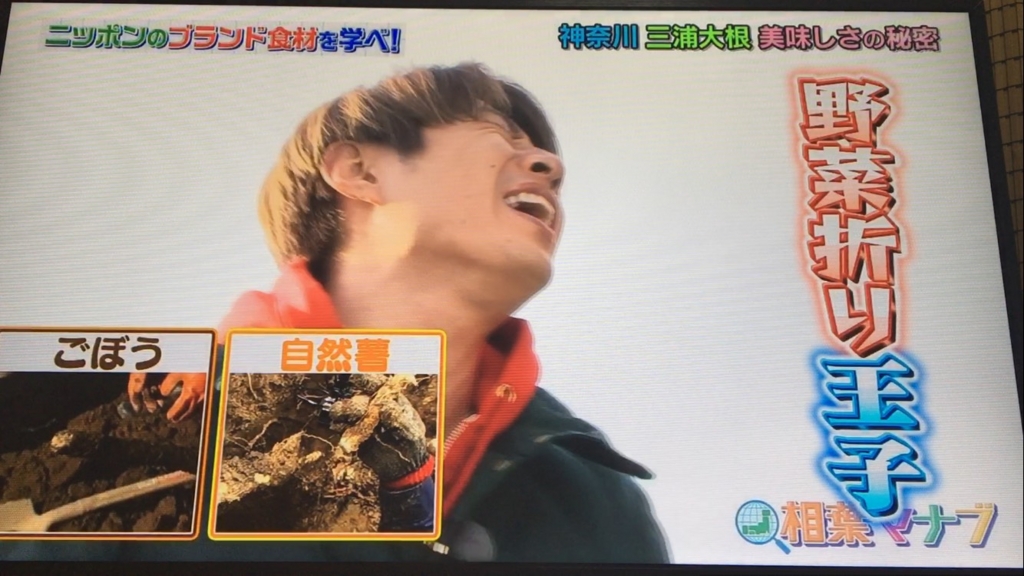 f:id:japanese-standard0:20170115184358j:plain f:id:japanese-standard0:20170115184358j:plain