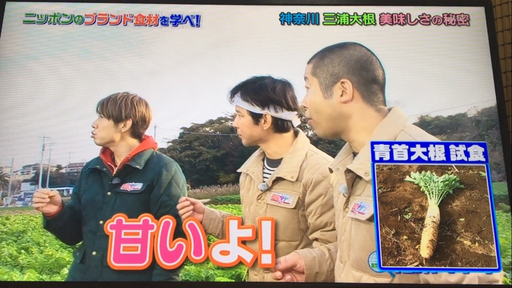 f:id:japanese-standard0:20170115184434j:plain f:id:japanese-standard0:20170115184434j:plain