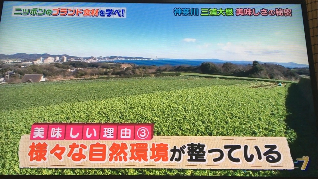 f:id:japanese-standard0:20170115184501j:plain f:id:japanese-standard0:20170115184501j:plain