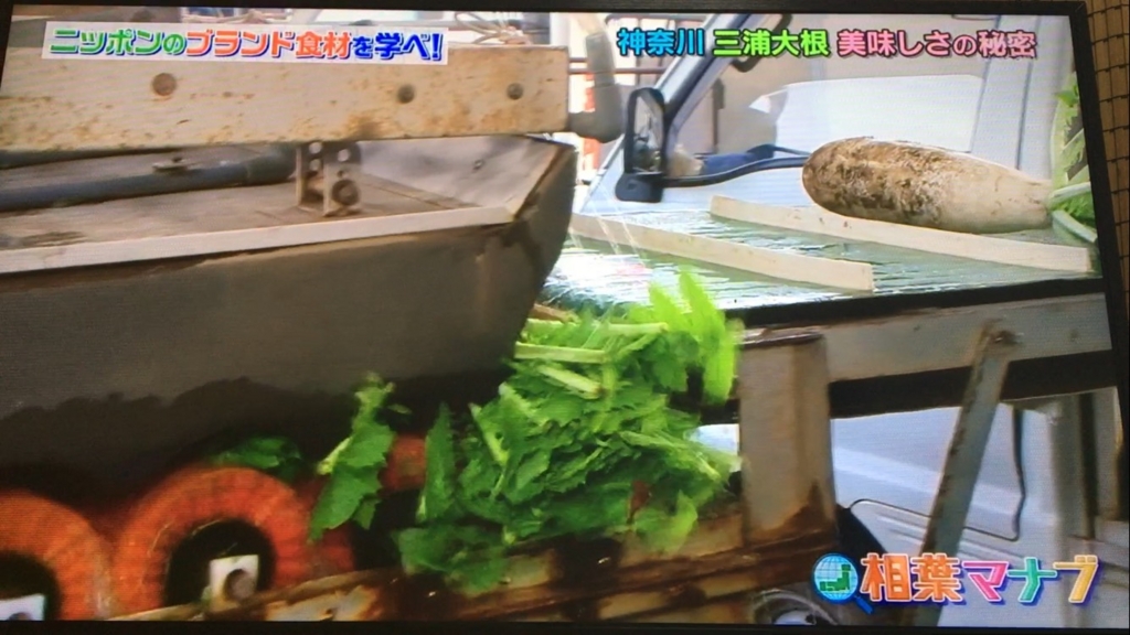 f:id:japanese-standard0:20170115184514j:plain f:id:japanese-standard0:20170115184514j:plain