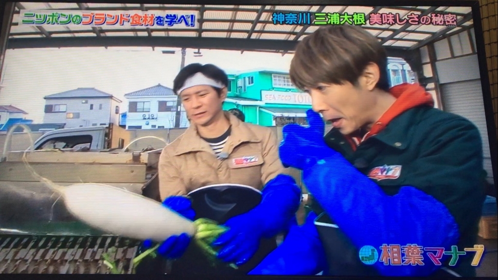 f:id:japanese-standard0:20170115184523j:plain f:id:japanese-standard0:20170115184523j:plain