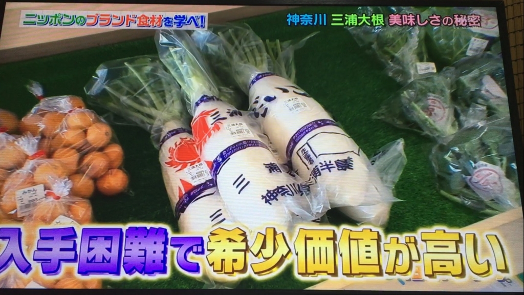 f:id:japanese-standard0:20170115184532j:plain f:id:japanese-standard0:20170115184532j:plain