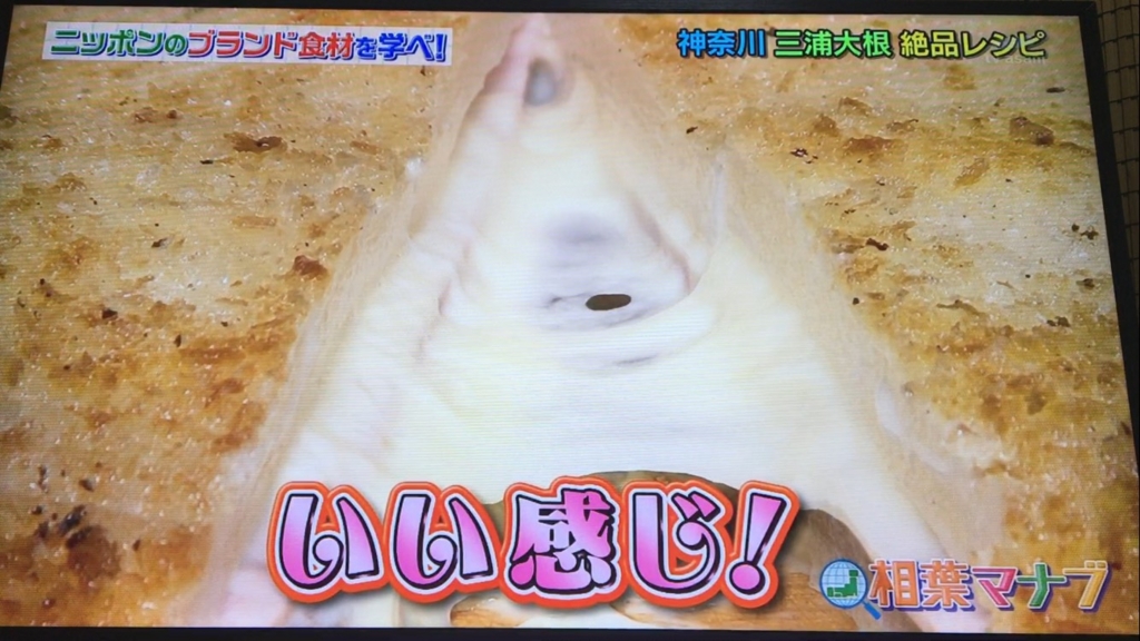 f:id:japanese-standard0:20170115184716j:plain f:id:japanese-standard0:20170115184716j:plain