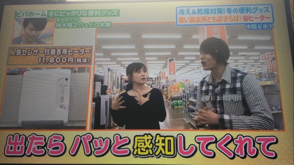 f:id:japanese-standard0:20170119132406j:plain