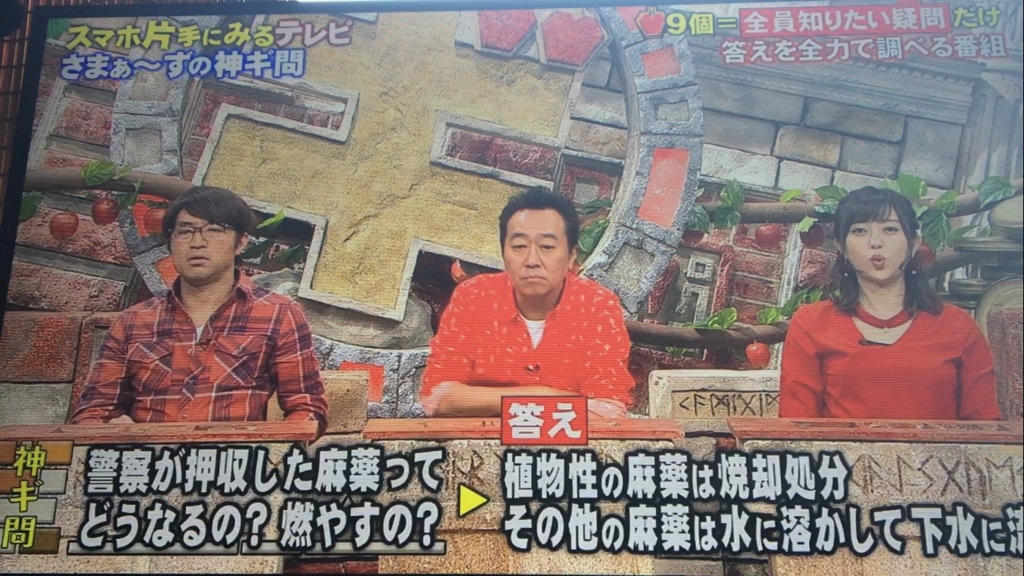 f:id:japanese-standard0:20170122135559j:plain