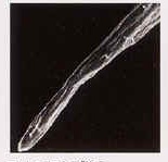 f:id:japanese-standard0:20170127112332j:plain