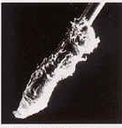 f:id:japanese-standard0:20170131163735j:plain