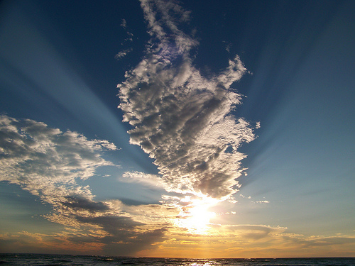 f:id:japanese-standard0:20170310184547j:plain