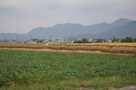 f:id:japanese_perry:20090922163509j:image f:id:japanese_perry:20090922163509j:image
