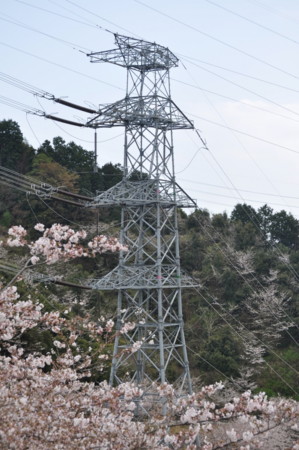 f:id:japanese_perry:20110410141753j:image