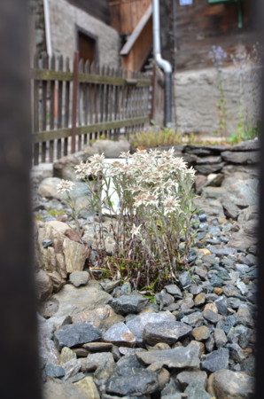 f:id:japanese_perry:20120927100720j:image