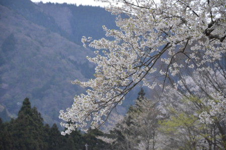 f:id:japanese_perry:20140413084650j:image f:id:japanese_perry:20140413084650j:image