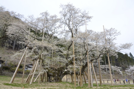 f:id:japanese_perry:20140413091032j:image f:id:japanese_perry:20140413091032j:image