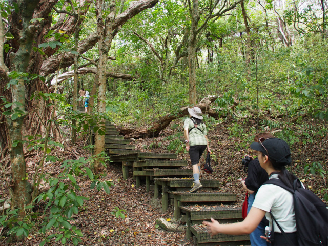 f:id:japaneseclimber:20200218222034j:plain f:id:japaneseclimber:20200218222034j:plain