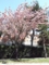 20110411172624