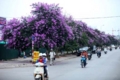 20110628171602