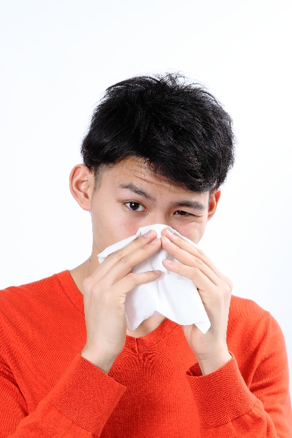 【えぞ式すーすー茶の成分】花粉症に効果ありと言っても成分は何？:susucha.hatenablog.jp:20160220195743j:plain