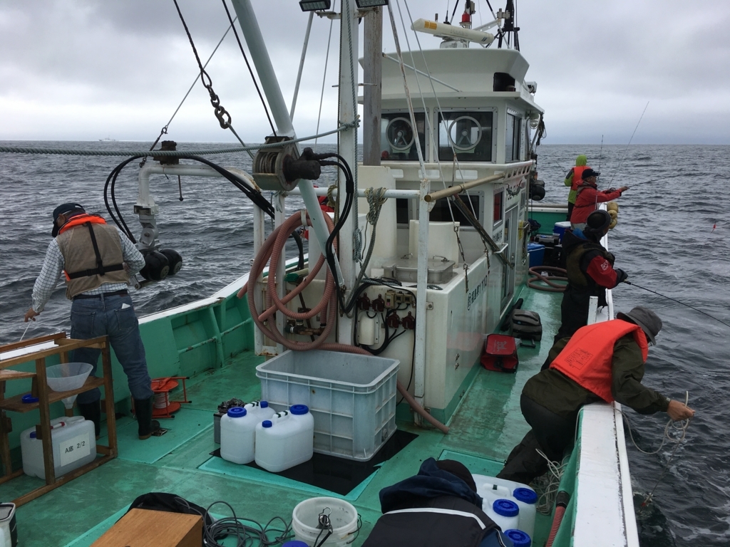 f:id:japanplatform:20170819074402j:plain