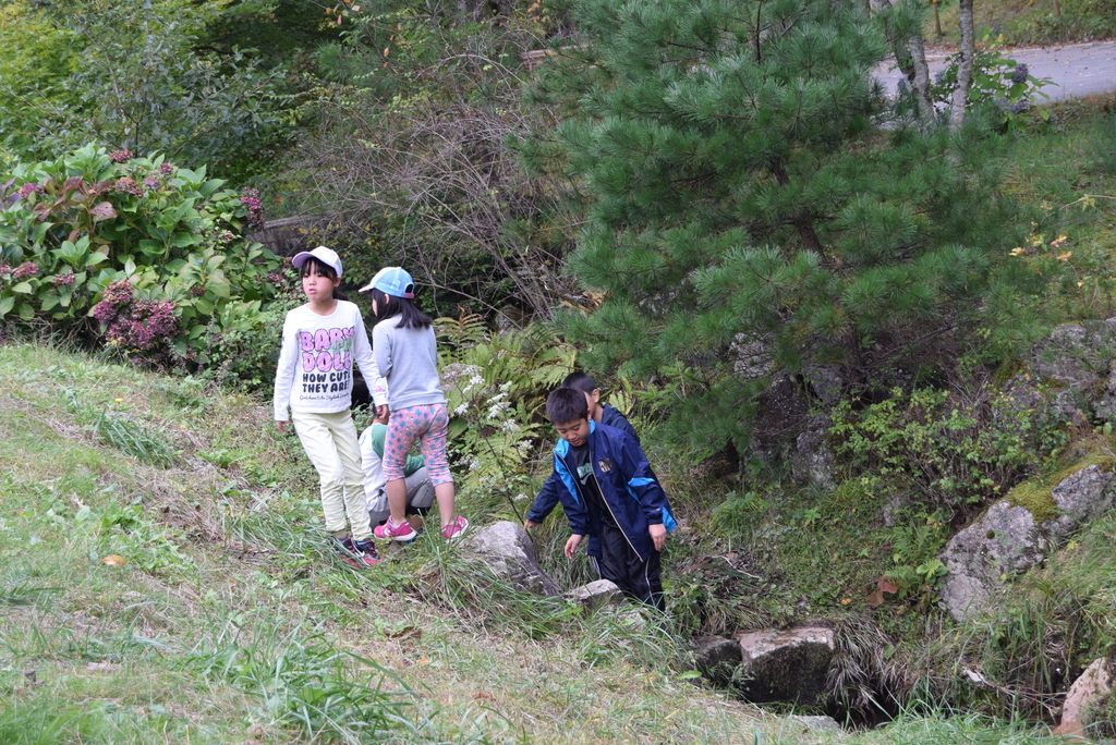 f:id:japanplatform:20181008132214j:plain