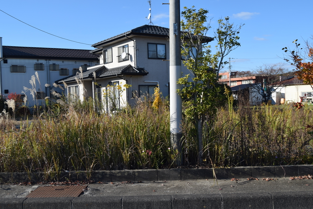 f:id:japanplatform:20181115141045j:plain f:id:japanplatform:20181115141045j:plain