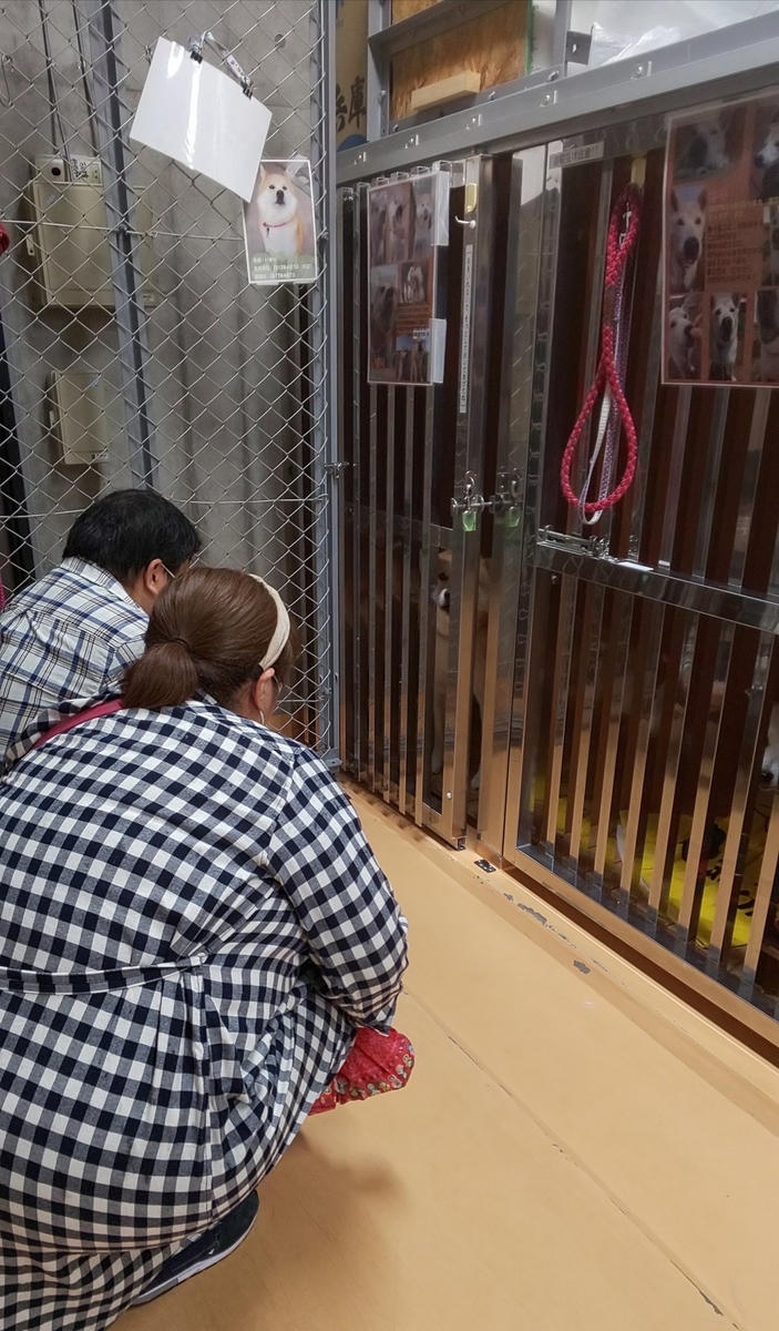 f:id:japanrescue1995:20201018143440j:plain f:id:japanrescue1995:20201018143440j:plain