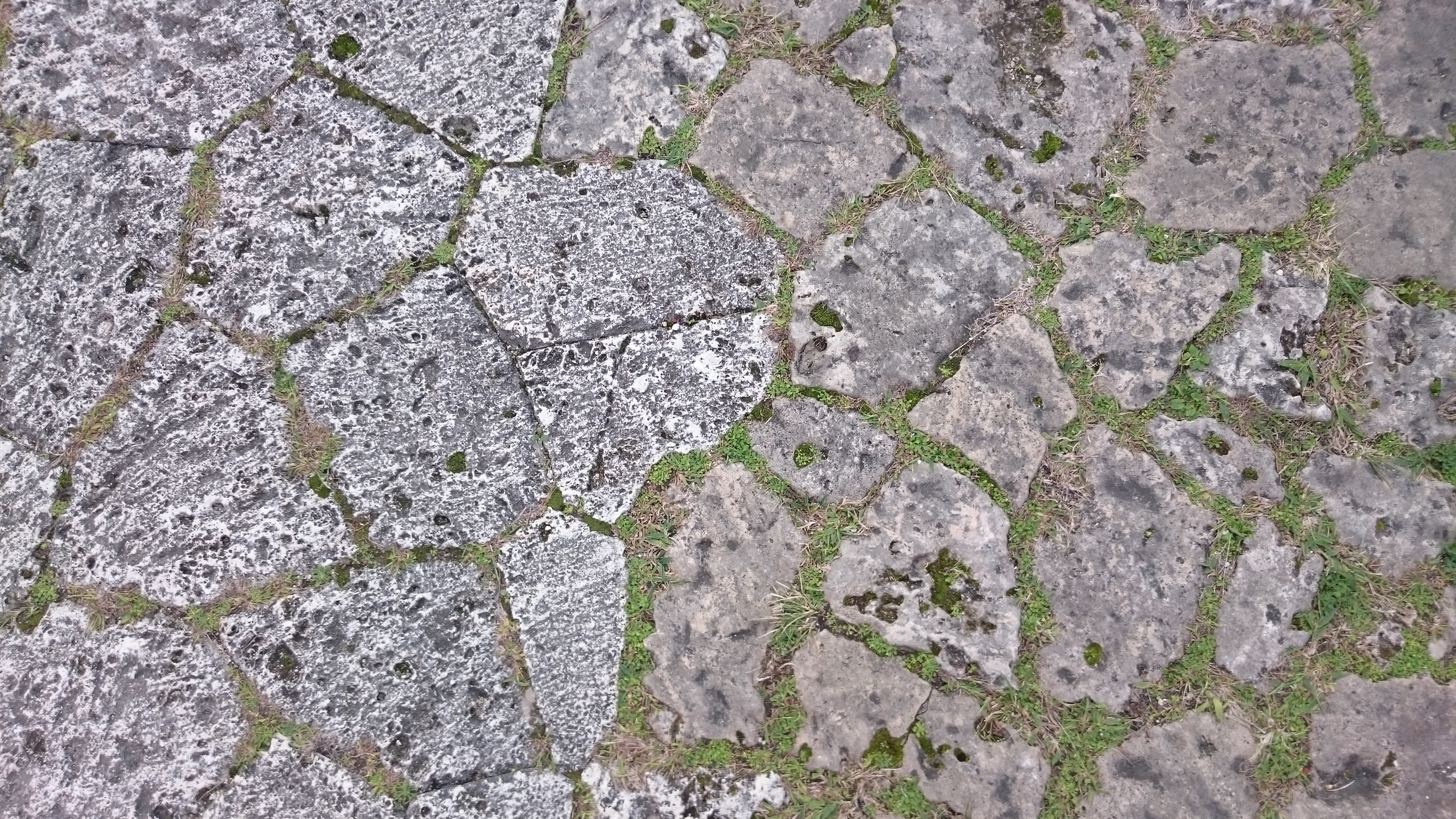 個別 テクスチャ 地面 石 草 の写真 画像 地面 日本のテクスチャ素材画像集