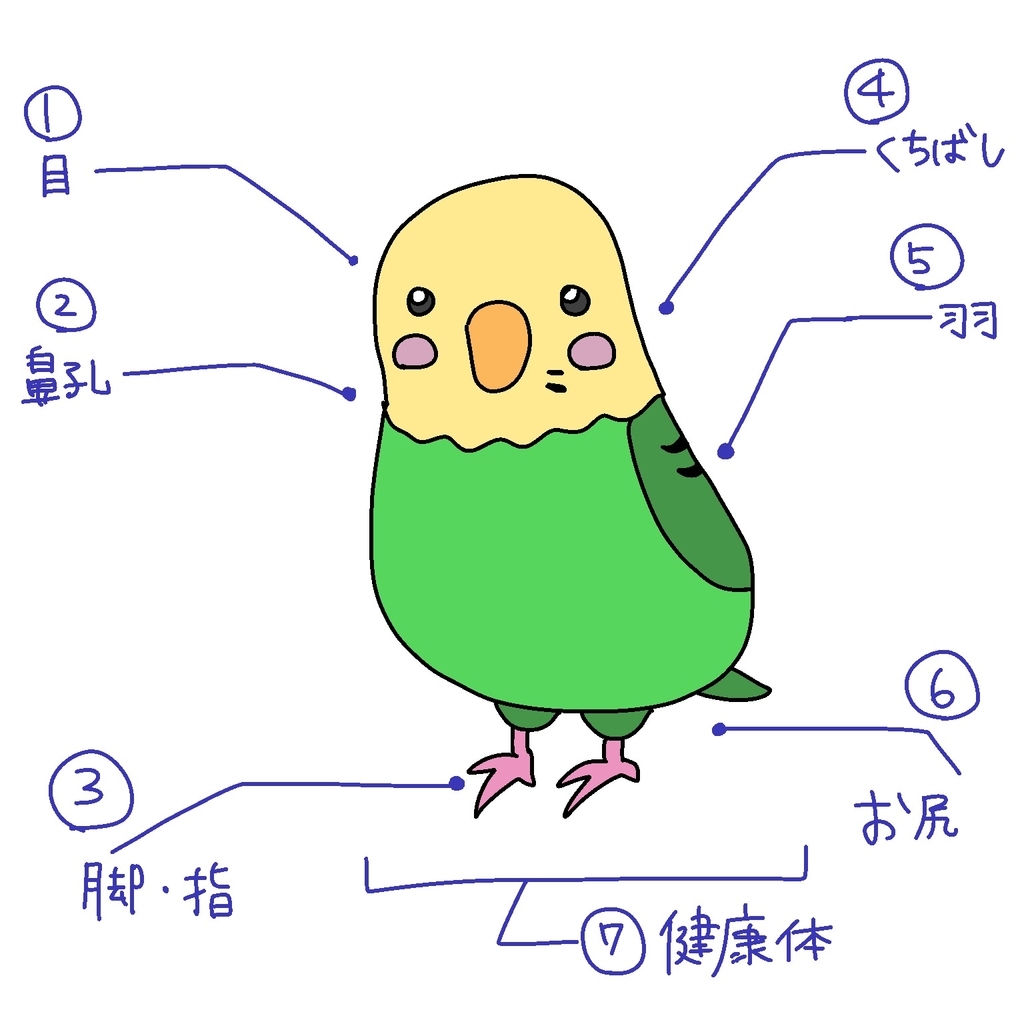 f:id:japantk:20180921154651j:plain f:id:japantk:20180921154651j:plain