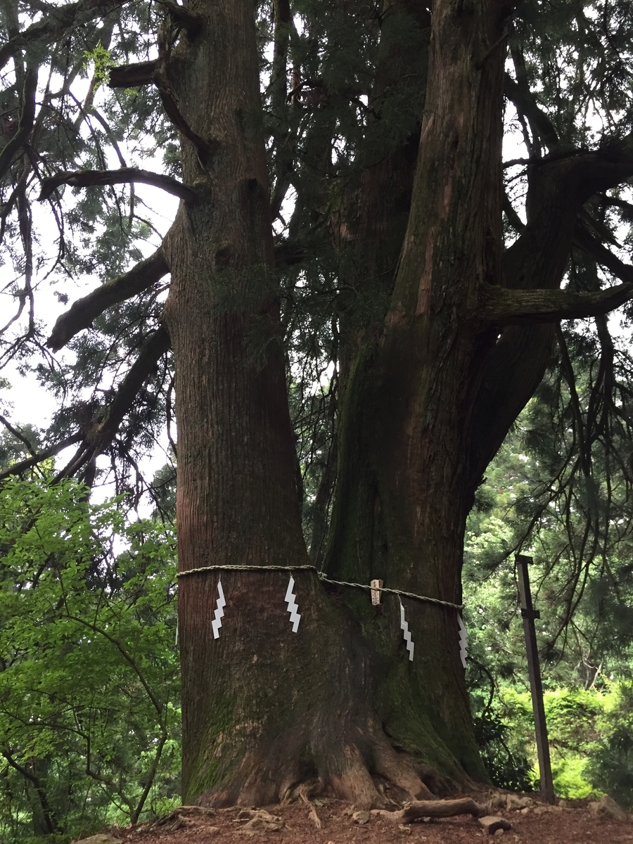 f:id:japantk:20190604133717j:plain f:id:japantk:20190604133717j:plain