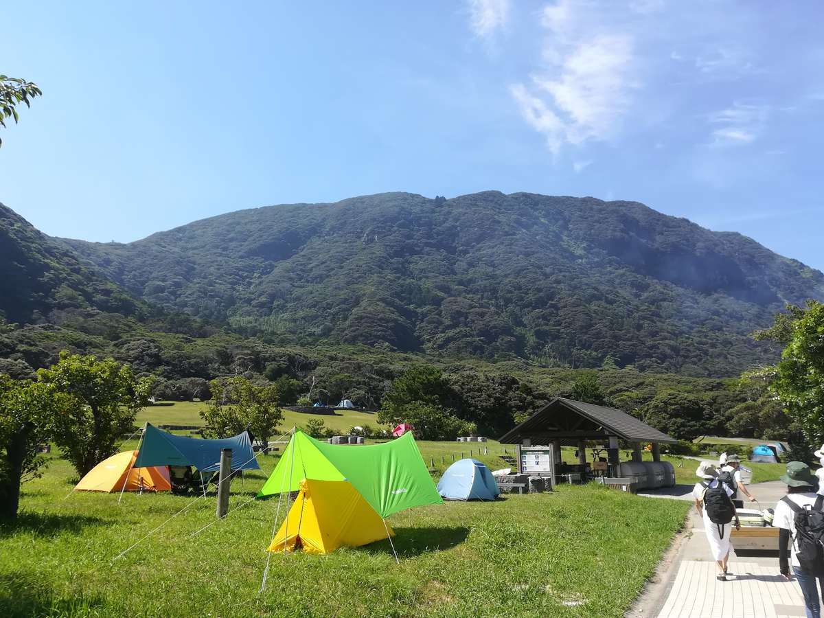 f:id:japantk:20190613100535j:plain f:id:japantk:20190613100535j:plain
