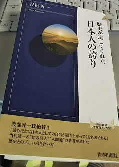 f:id:japantn:20181106065238j:plain