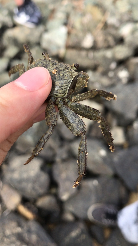 f:id:japantouristak:20190213211910j:image