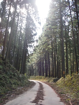 f:id:japanwalkwalkwalk:20210703065739j:plain