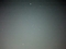 20241113061931