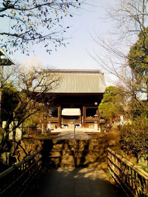 f:id:japojp:20101230004258j:image:w190