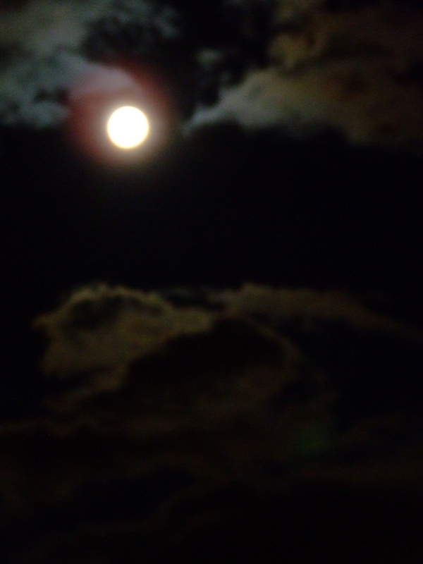 f:id:japojp:20120407214056j:image:w250 f:id:japojp:20120407214056j:image:w250