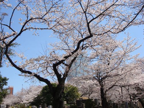 f:id:japojp:20120408190048j:image:w350 f:id:japojp:20120408190048j:image:w350