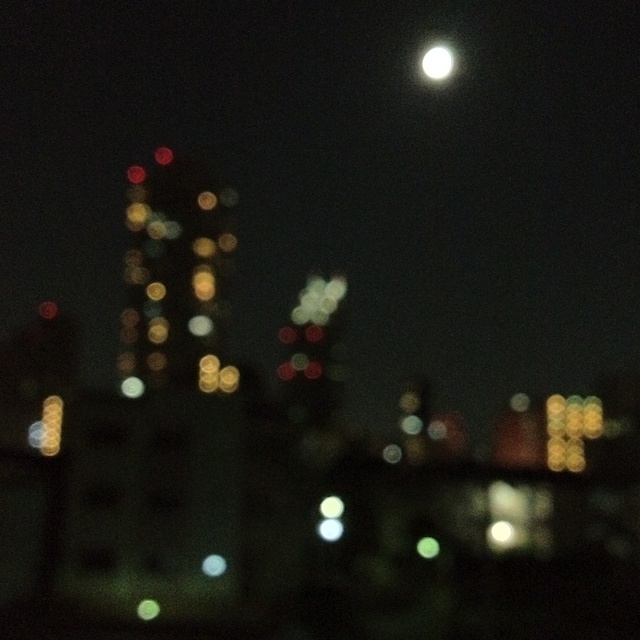 f:id:japojp:20120508023728j:image:w300