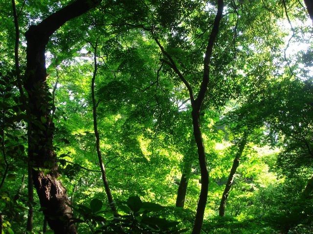 f:id:japojp:20120527202123j:image:w400