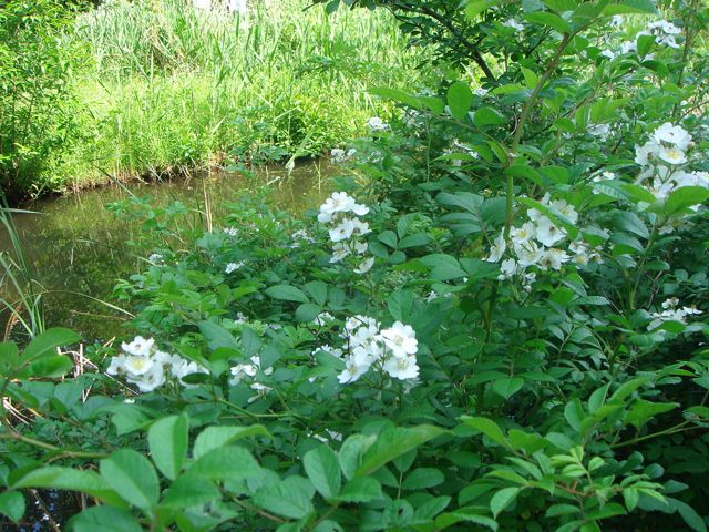 f:id:japojp:20120527202125j:image:w300