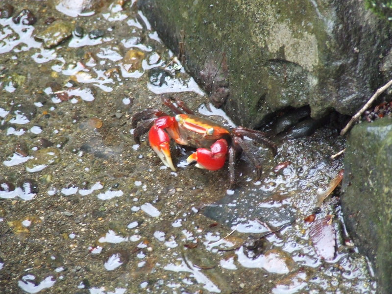 f:id:japojp:20120616233135j:image:w200