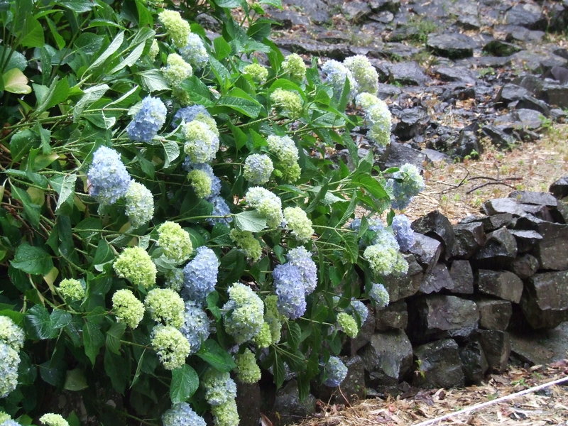 f:id:japojp:20120616233137j:image:w200