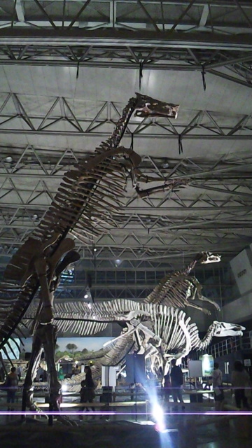 f:id:japojp:20120917230555j:image:h300 f:id:japojp:20120917230555j:image:h300