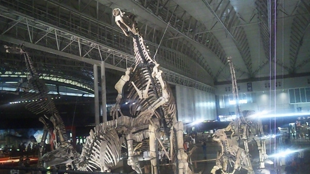 f:id:japojp:20120917230558j:image:w300 f:id:japojp:20120917230558j:image:w300