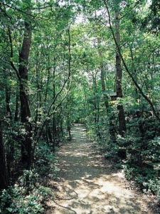 f:id:japojp:20120926185233j:image:w250