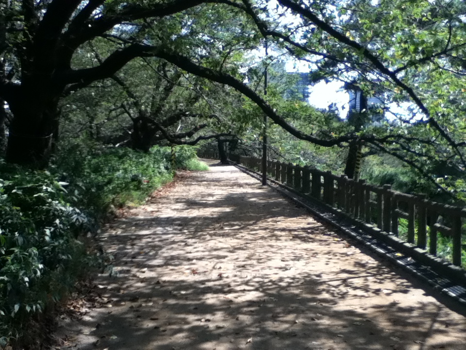 f:id:japojp:20121005232443j:image:w200:left