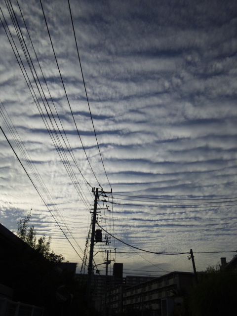 f:id:japojp:20121016184152j:image:w200