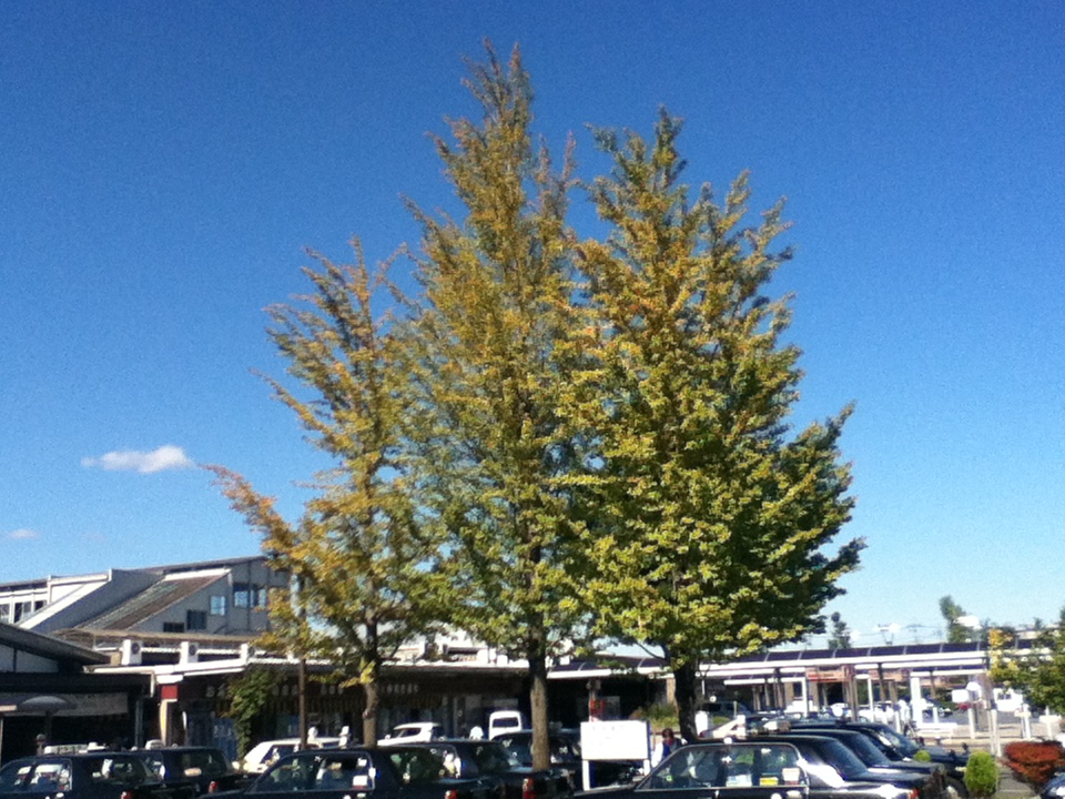 f:id:japojp:20121020001853j:image:w300