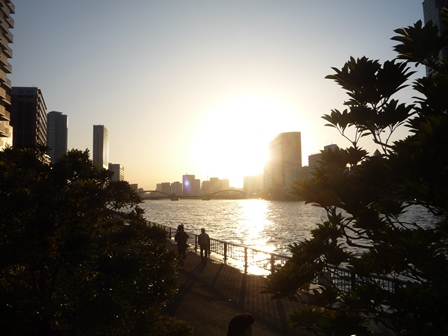 f:id:japojp:20121115213346j:image