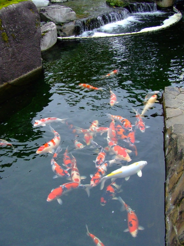 f:id:japojp:20121215002033j:image:w200